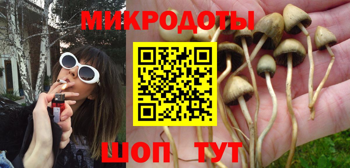 Псилоцибиновые грибы Magic Shrooms  Вход с VPN  Сочи 